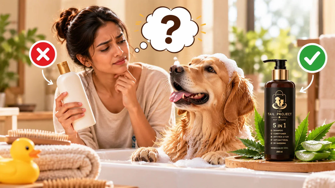 Pet parent confused about whether human shampoo is safe for dogs