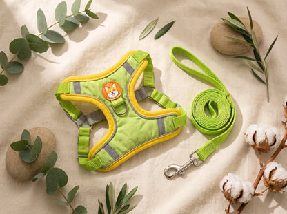 Adjustable Pet Harness with Leash for Dogs