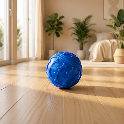 Squeaky Ball Toy for Dogs | Interactive Fetch Toy