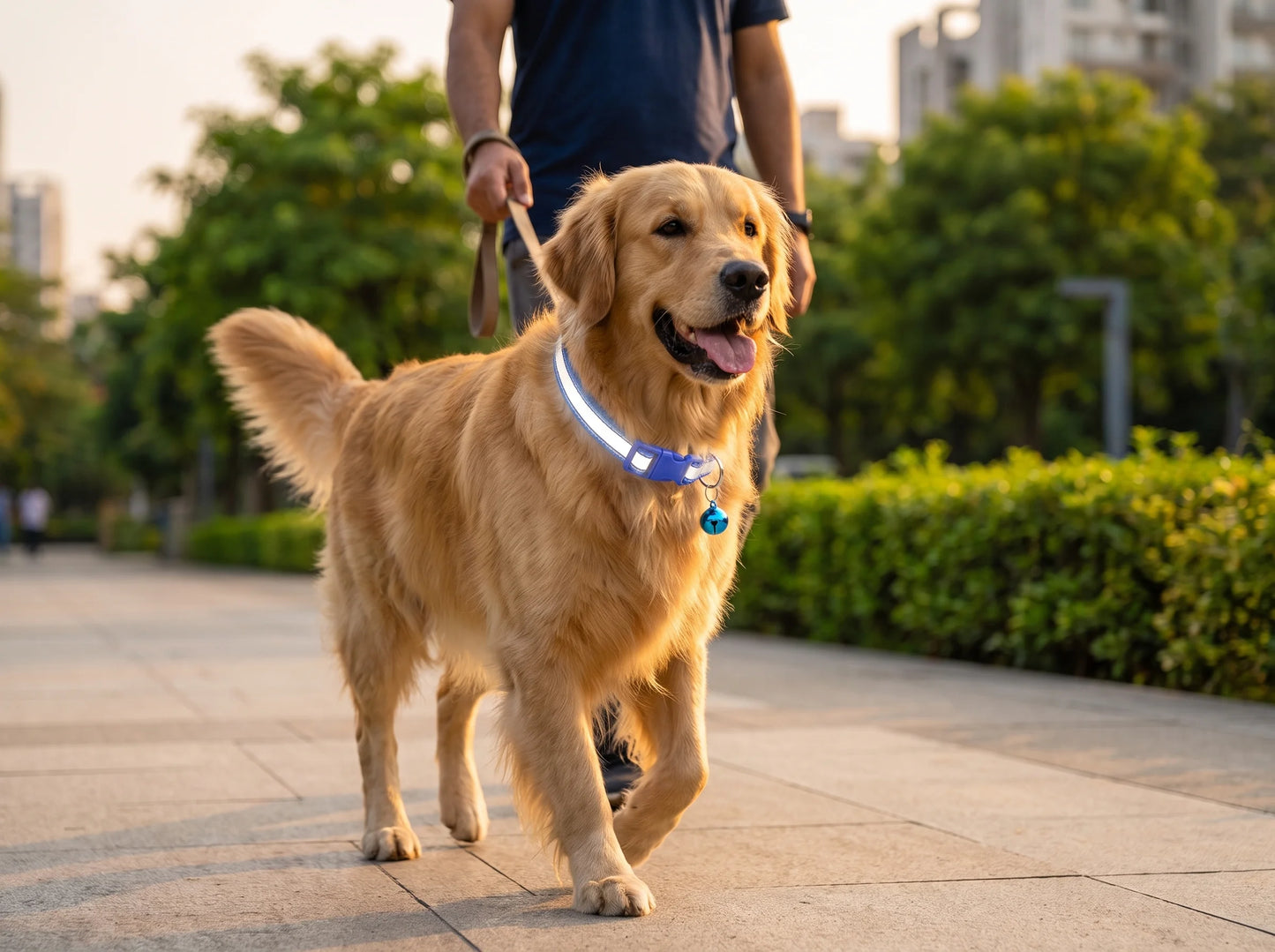 Reflective Dog Collar for Safe Walks