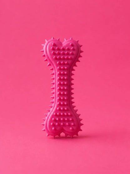 Dog Teether Bone Chew Toy for Puppies & Dogs