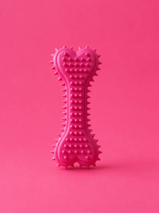Dog Teether Bone Chew Toy for Puppies & Dogs