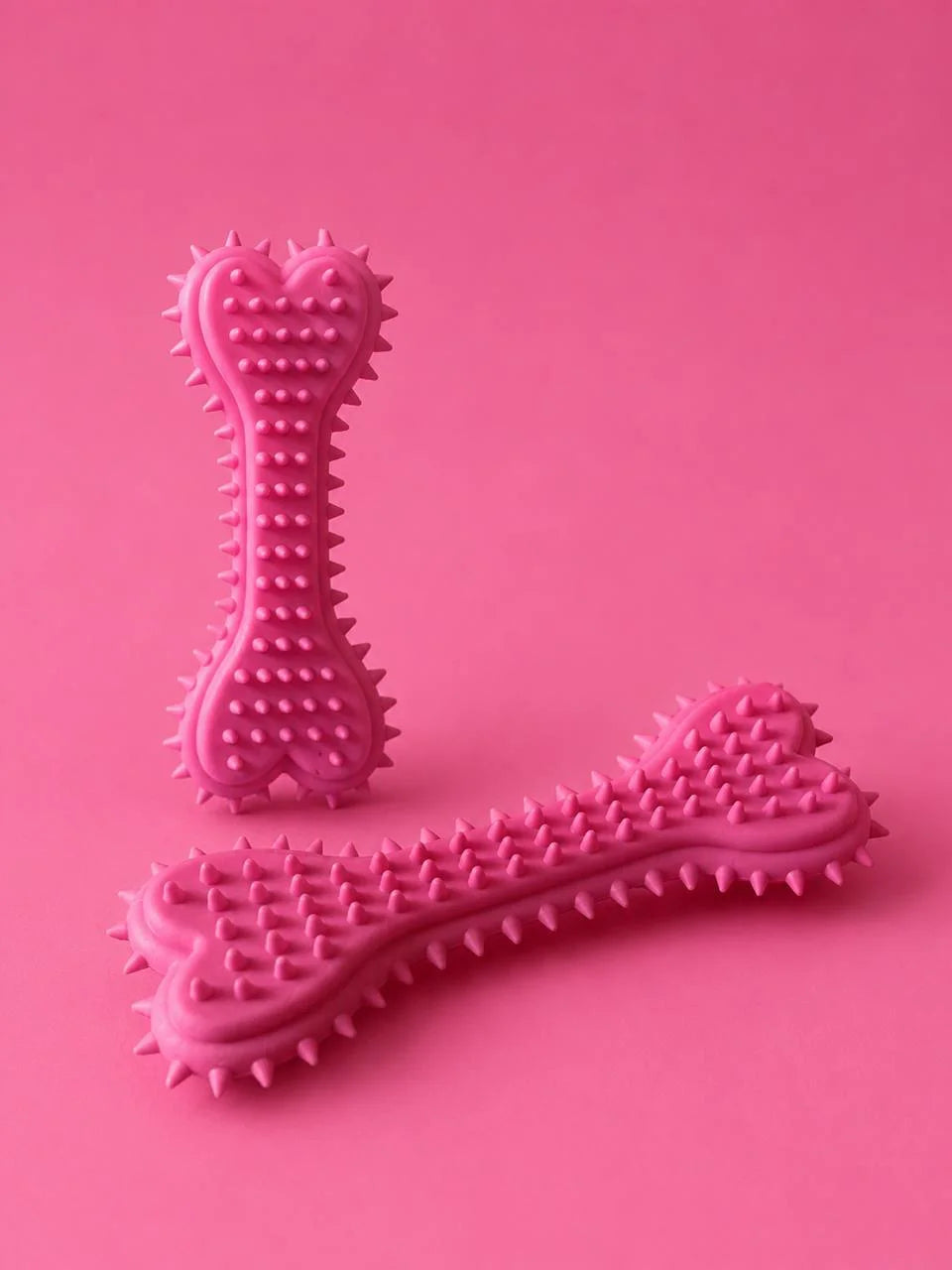 Dog Teether Bone Chew Toy for Puppies & Dogs