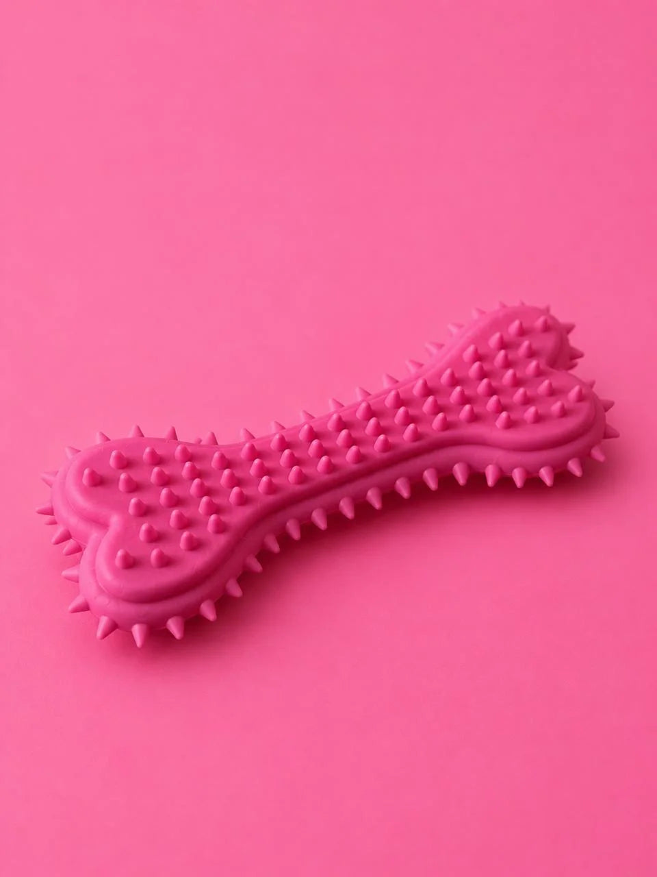 Dog Teether Bone Chew Toy for Puppies & Dogs