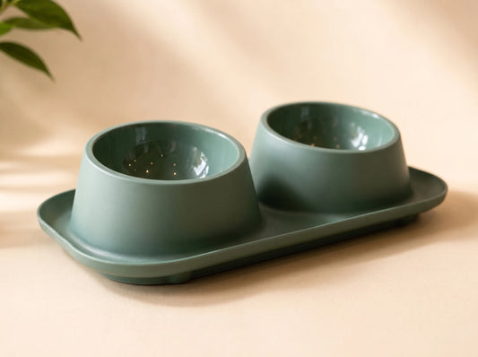 Pet Dual Bowl Feeder for Dogs & Cats