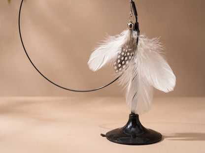 Cat Feather Teaser Toy
