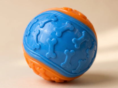 Squeaky Ball Toy for Dogs | Interactive Fetch Toy