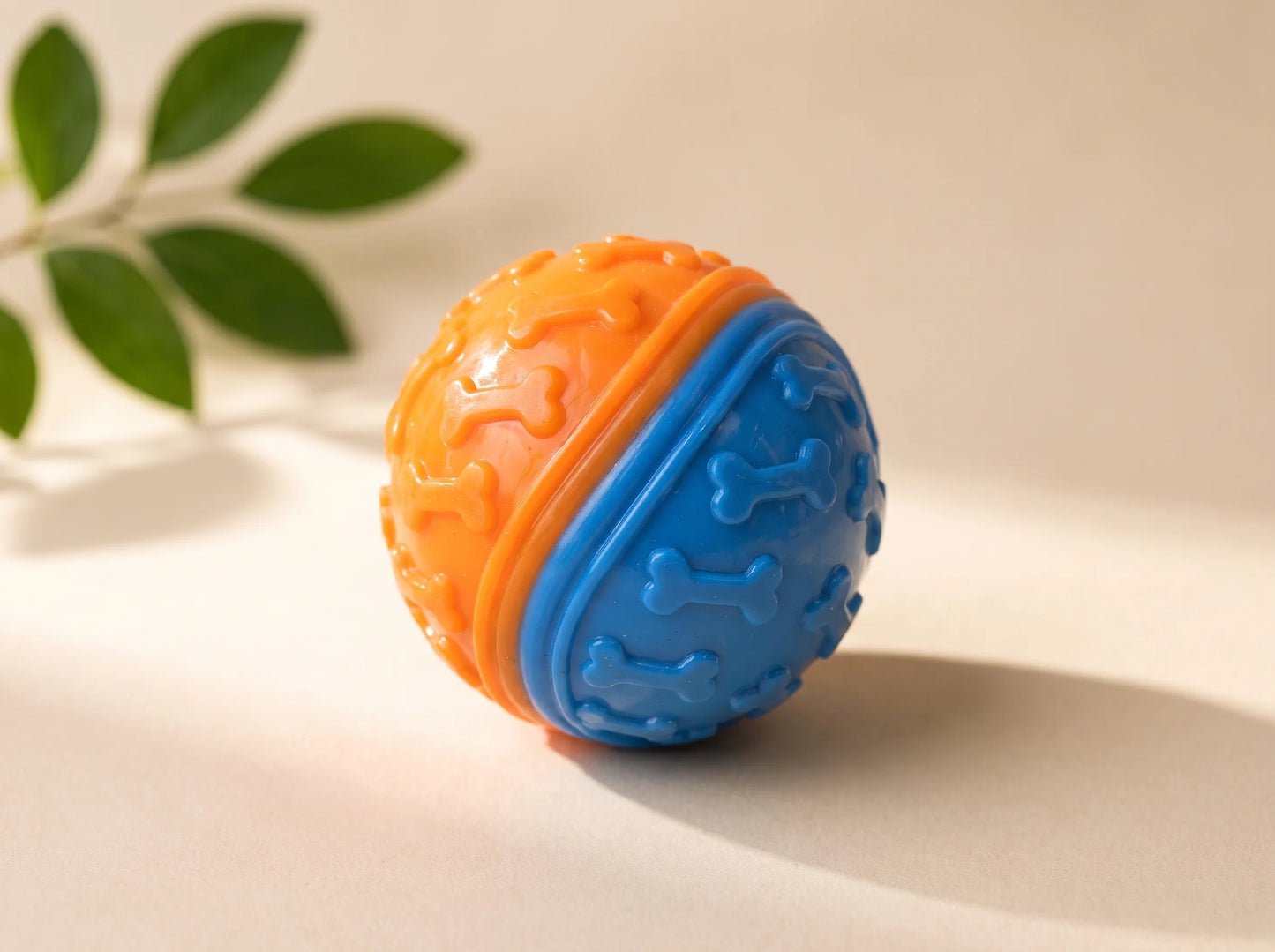 Squeaky Ball Toy for Dogs | Interactive Fetch Toy