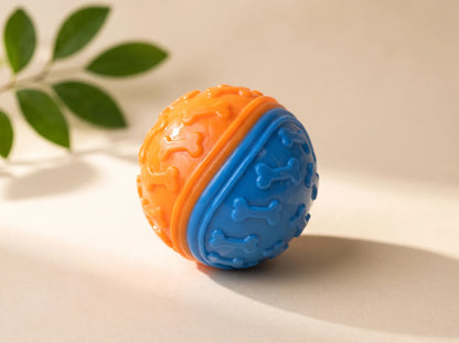 Squeaky Ball Toy for Dogs | Interactive Fetch Toy