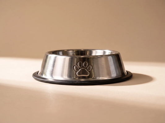 200ml Stainless Steel Pet Feeding Bowl for Dogs & Cats