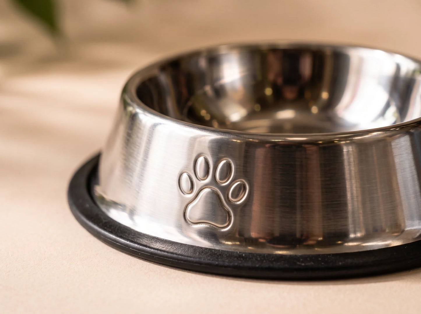 500ml Stainless Steel Pet Feeding Bowl for Dogs & Cats